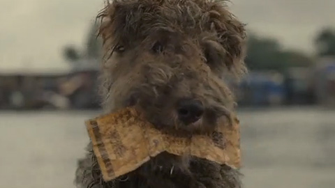 生き別れた飼い主に宝くじの当選券を届けに来た犬